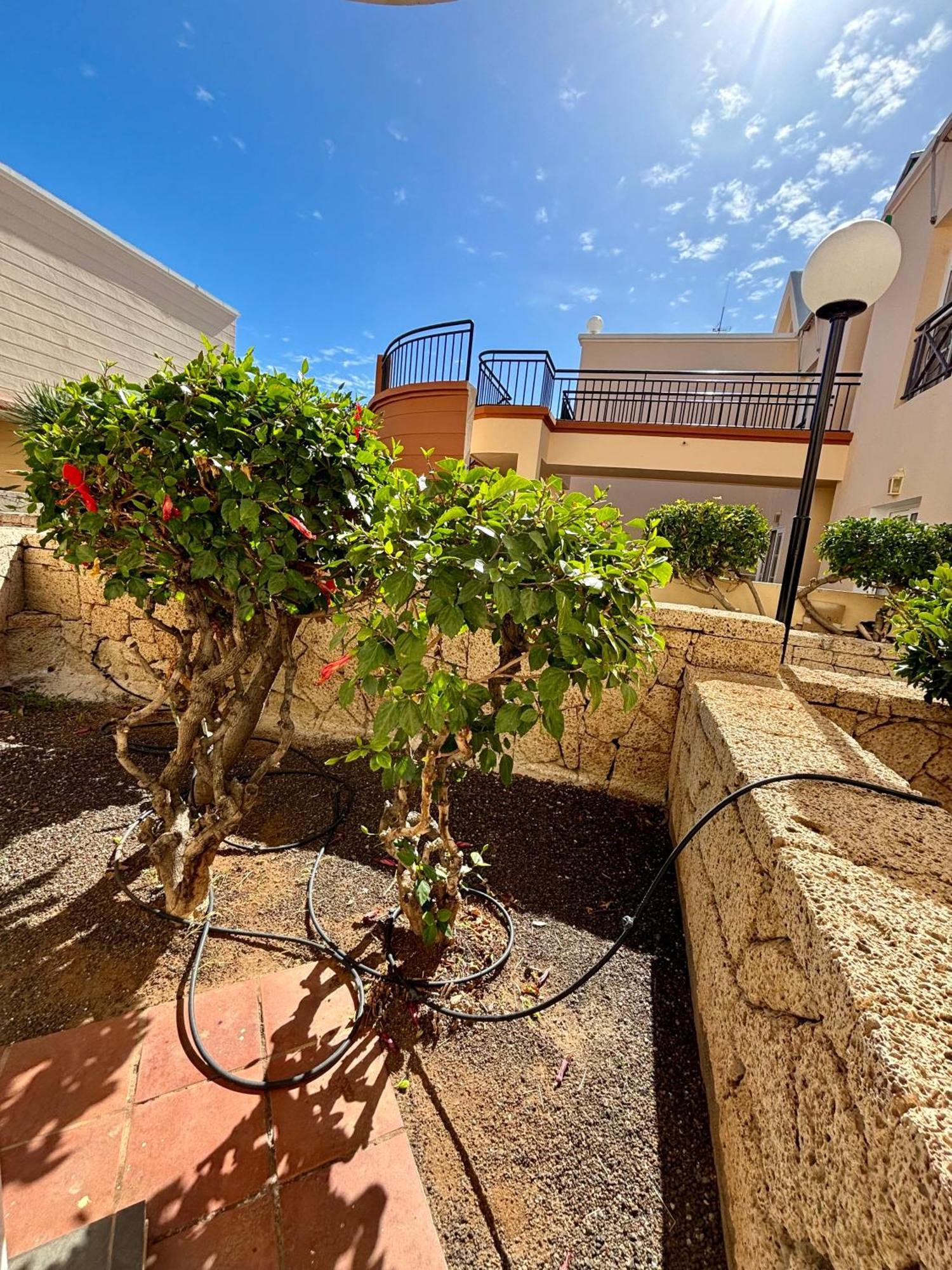 Apartment Clara Fanabe Costa Adeje  Luaran gambar